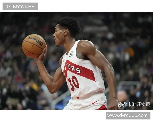 2013至2014赛季火箭队与猛龙队精彩对决回顾与分析