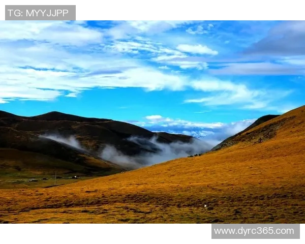 景菡一的成长之路与人生哲学探讨:从青涩到成熟的心灵旅程 景菡一的成长之路与人生哲学探讨:从青涩到成熟的心灵旅程
